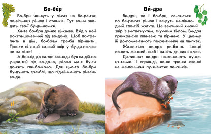 Книга Читаю про Україну : Тварини річок та морів (у)Каспарова Юлія Вадимівна