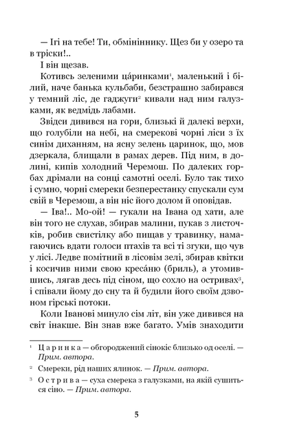 Книга Тіні забутих предків. Intermezzo Михайло Коцюбинський