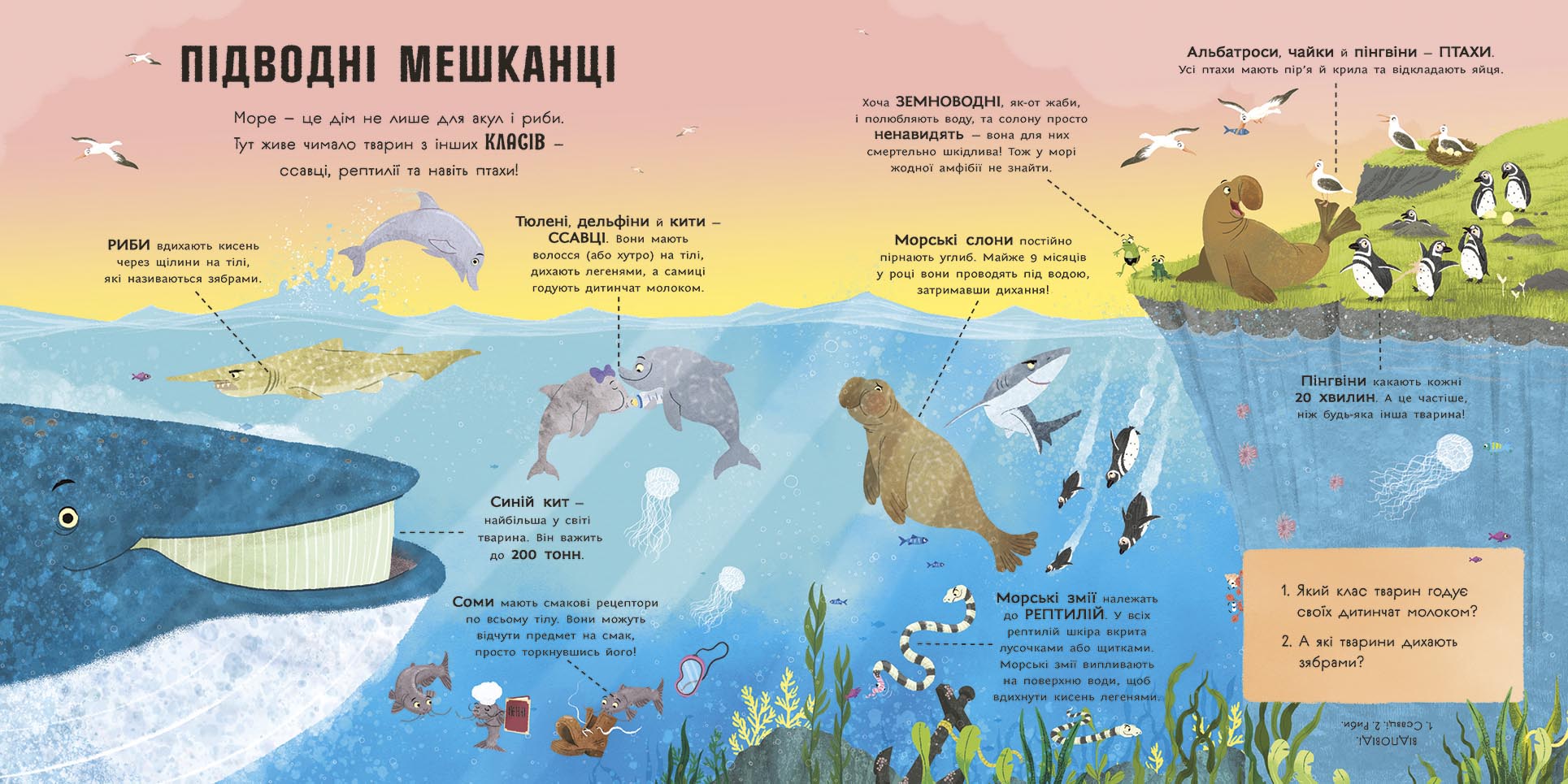 Книга Супернаука для дошкільнят : Акули люблять науку (у)Адам Фрост