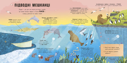 Книга Супернаука для дошкільнят : Акули люблять науку (у)Адам Фрост