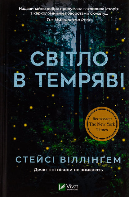 Книга Світло в темряві Стейсі Віллінґем