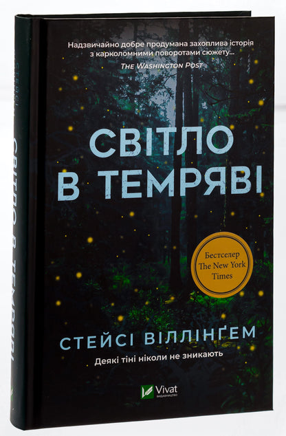 Книга Світло в темряві Стейсі Віллінґем