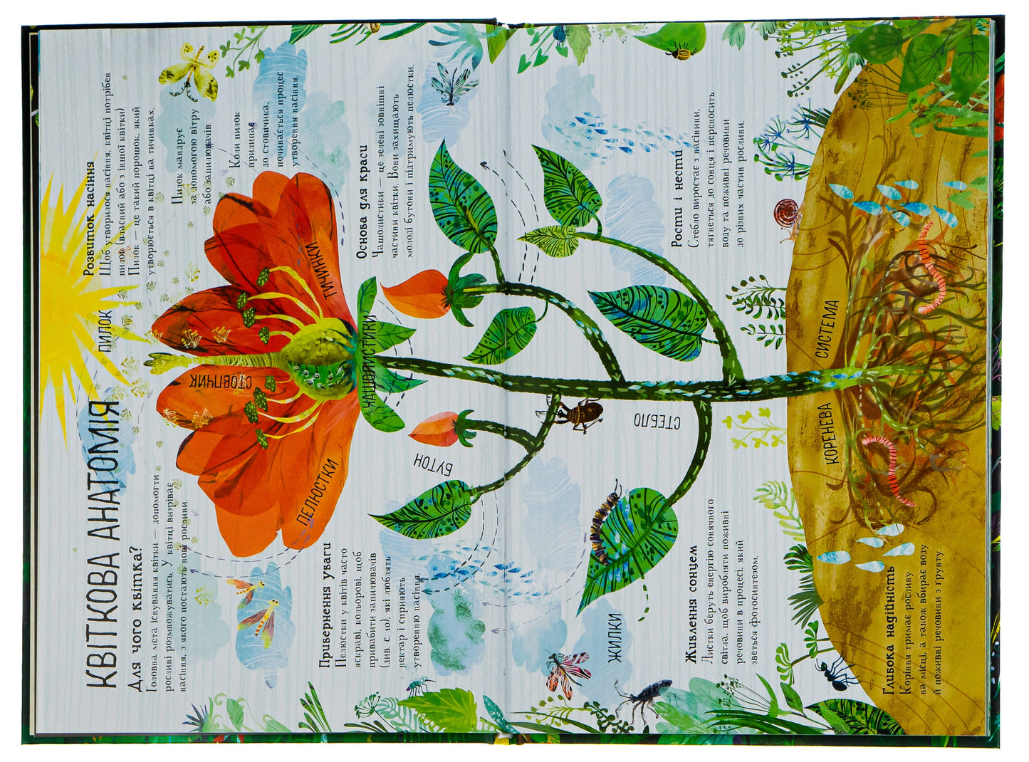 The Big Book of Flowers by Yuval Sommer