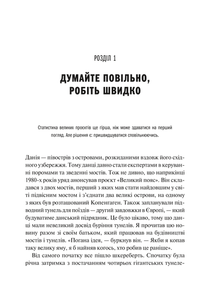 Книга Як робити великі справи. Несподівані фактори в долі проєктів від побутового до космічного масштабу — Флівб’єрґ Б., Ґарднер Д
