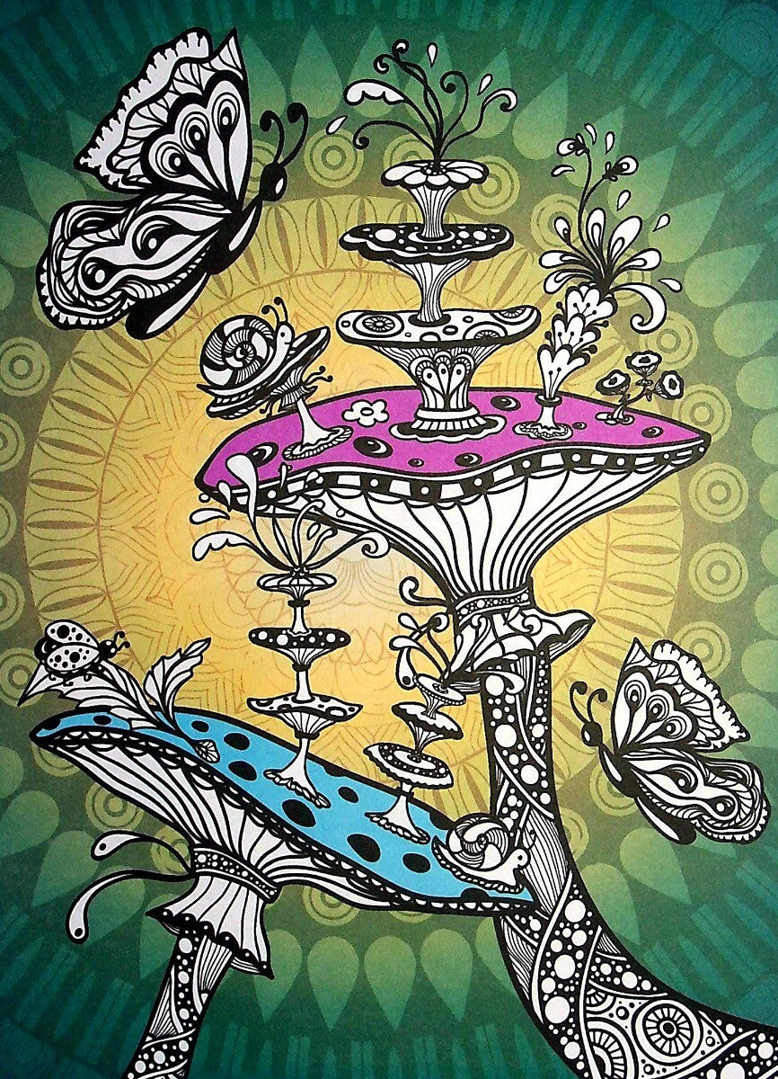 Книга COLOR ZEN. Чарівна країна — 