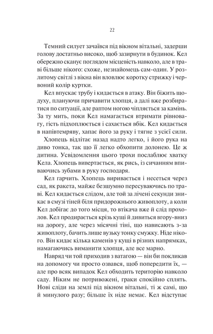 Книга Шукач — Тана Френч
