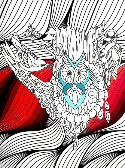 Книга COLOR ZEN. Чарівна країна — 