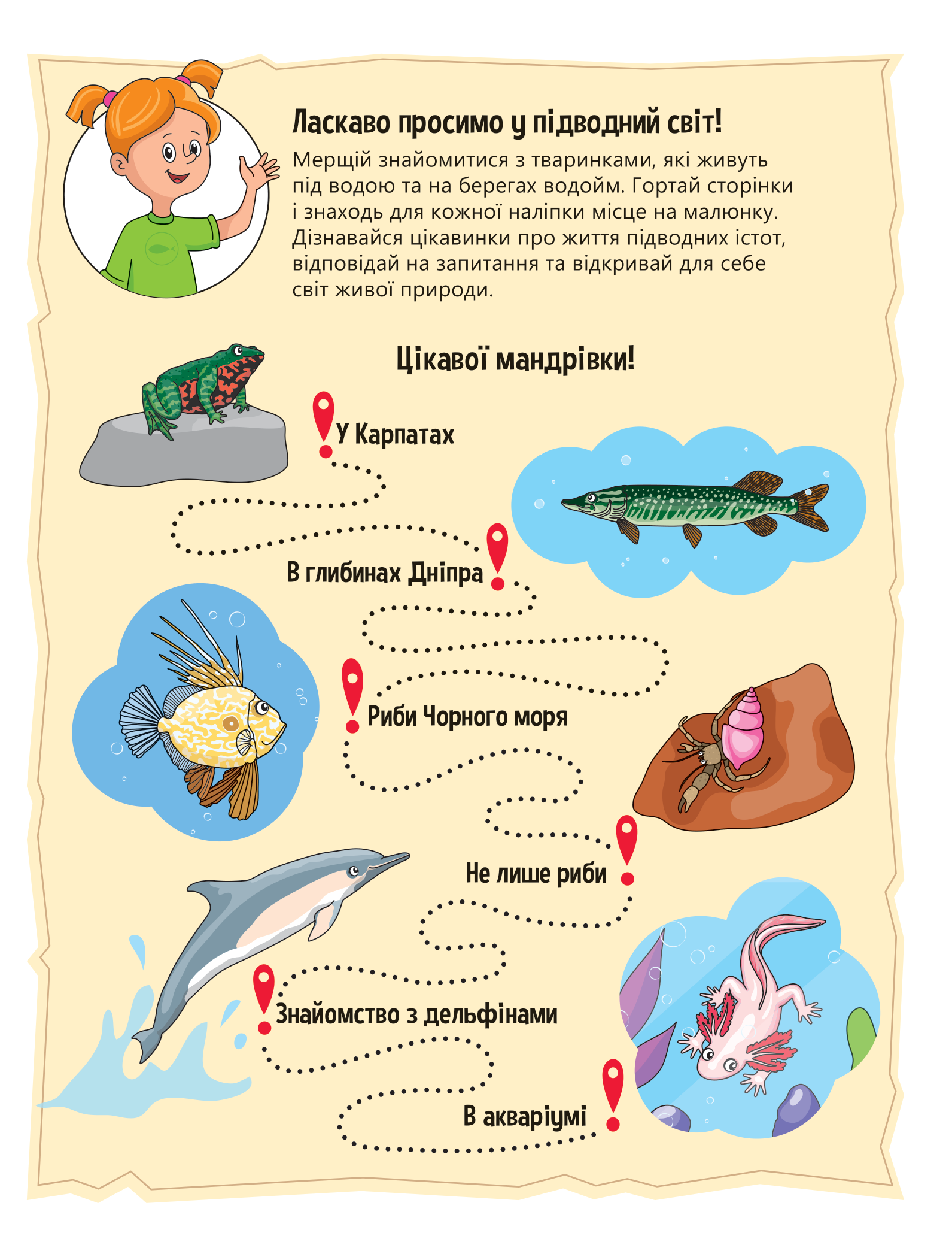 Книга Тваринки під водою — Ольга Шевченко