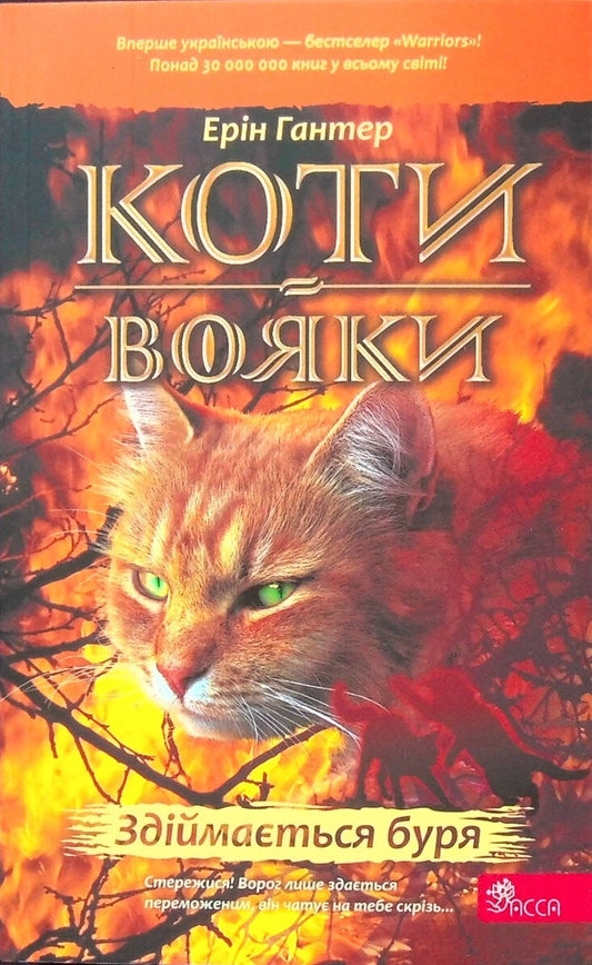 Коти-вояки. Книга 4. Здіймається буря