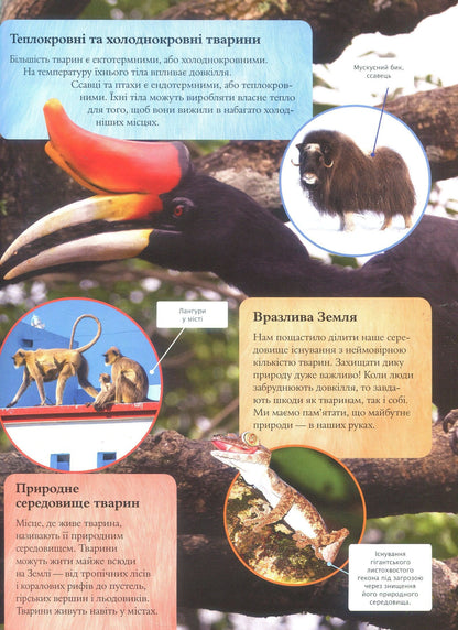 Children's encyclopedia of animals