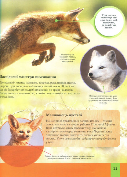 Children's encyclopedia of animals