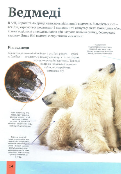 Children's encyclopedia of animals